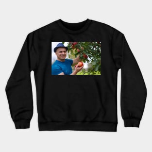 Gardener picking apples Crewneck Sweatshirt